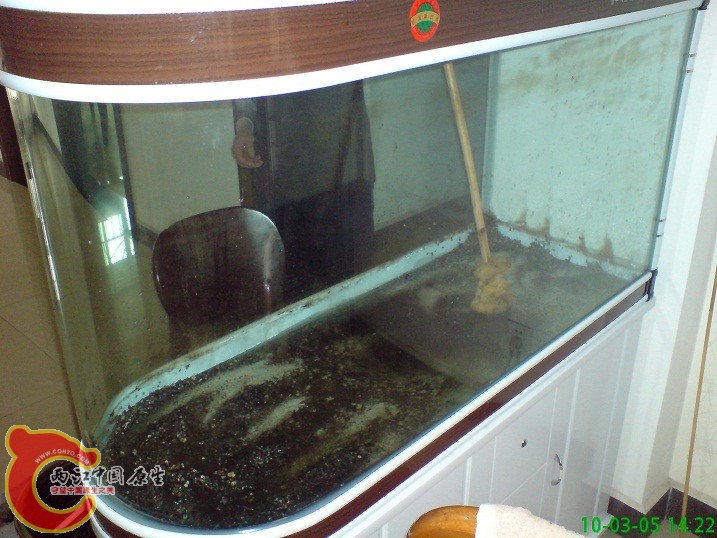 水放干了 水放干了