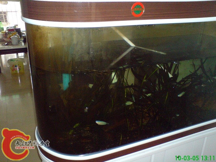 正在放水 正在放水