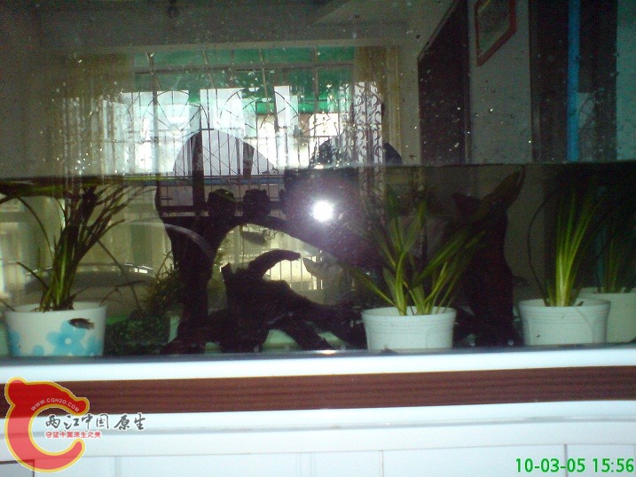 新水注入 新水注入