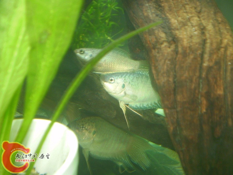 P1010068.JPG P1010068.JPG