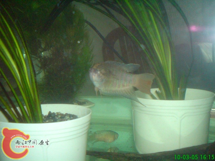 DSC00918.JPG DSC00918.JPG