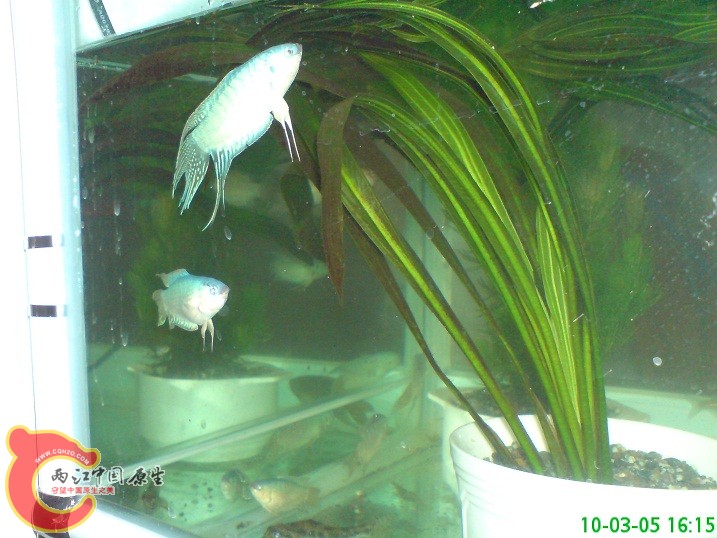 乱照几张 乱照几张