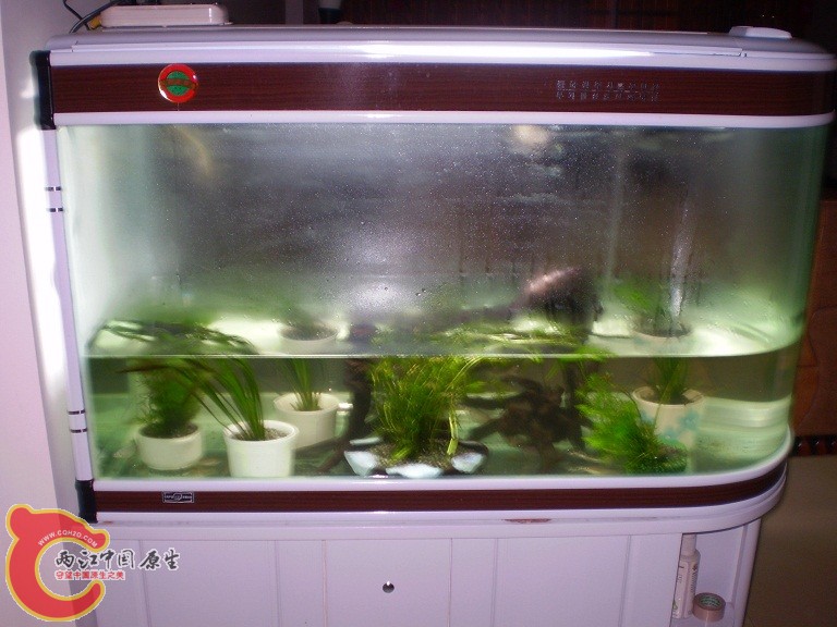 P1010071.JPG P1010071.JPG