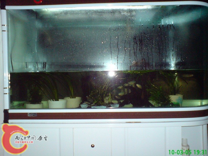 DSC00924.JPG DSC00924.JPG