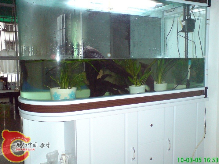 DSC00921.JPG DSC00921.JPG