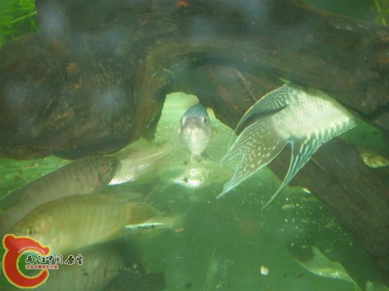 P1010069.JPG P1010069.JPG