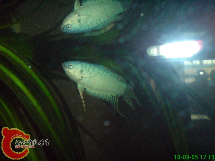 DSC00923.JPG DSC00923.JPG