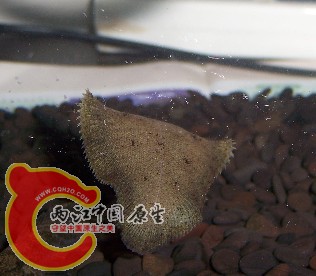 未命名15.jpg