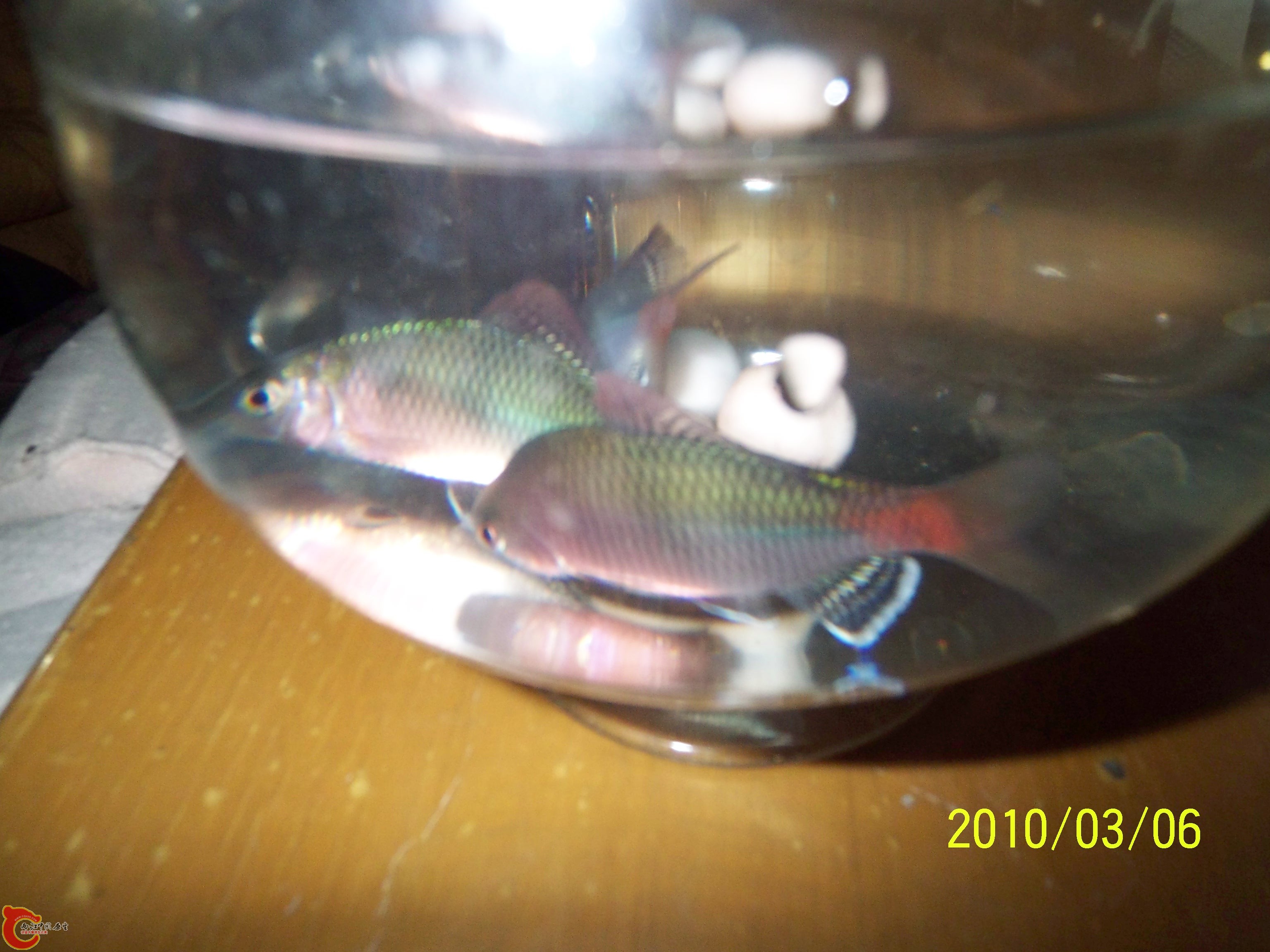 100_9748.JPG