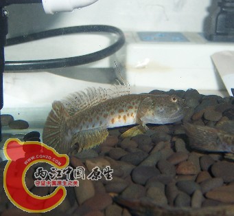 未命名22.jpg