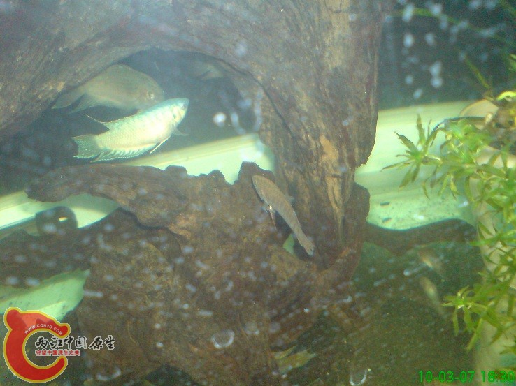 DSC00972.JPG