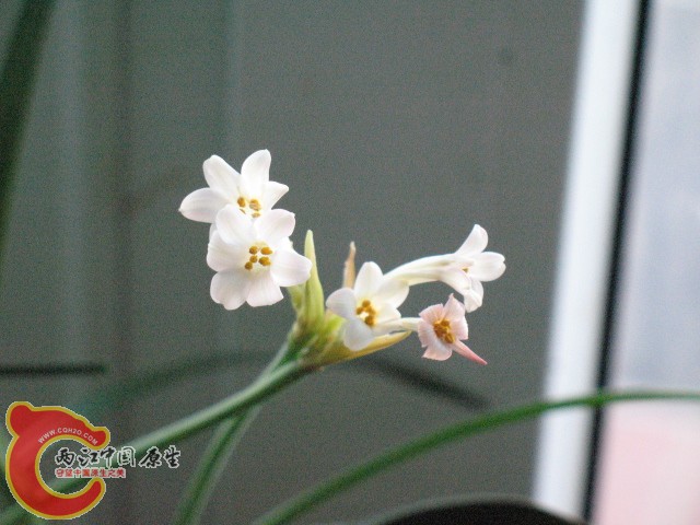IMG_5670.JPG