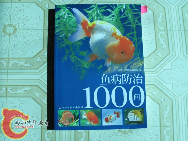 对新手治鱼病管用。