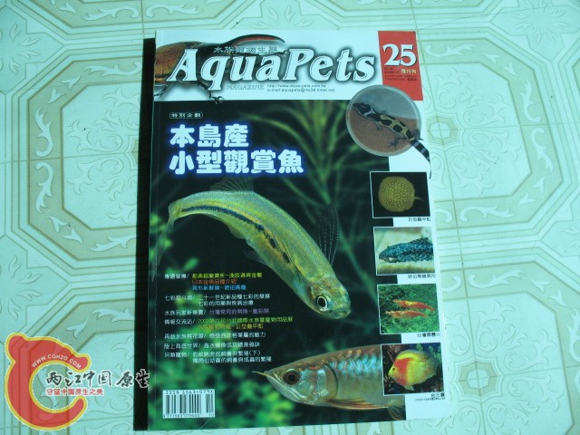 期刊