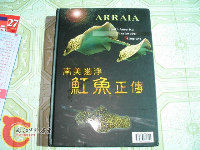 呵呵，大鱼
