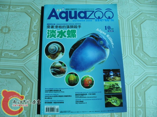 期刊