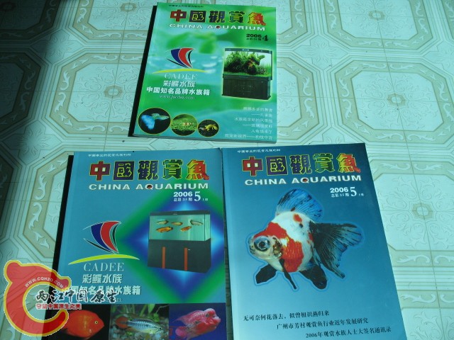 国产期刊