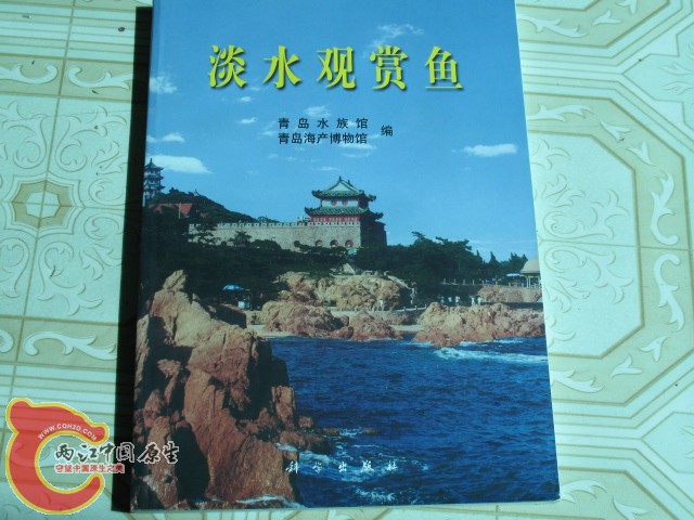 国产书
