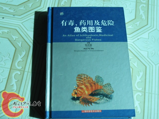 国产书
