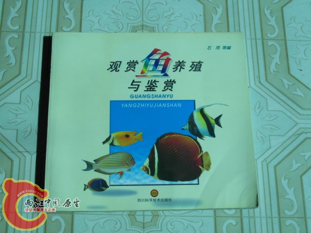 国产书