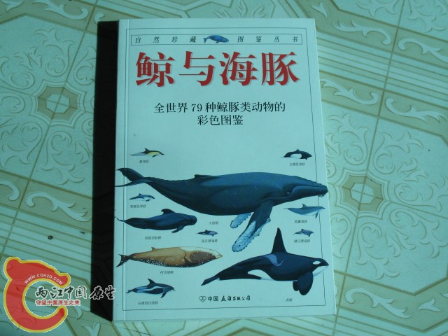 科普读物