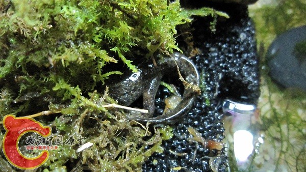 就给你个屁股看看。。 就给你个屁股看看。。