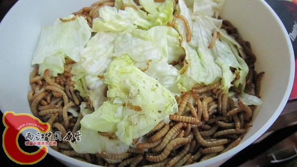 这个,不多说了,味道挺重。。。 这个,不多说了,味道挺重。。。