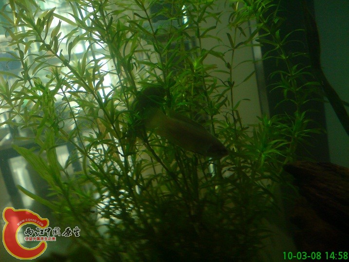 DSC00976.JPG