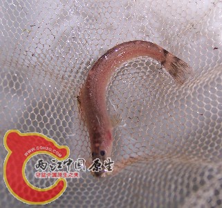 未命名33.jpg