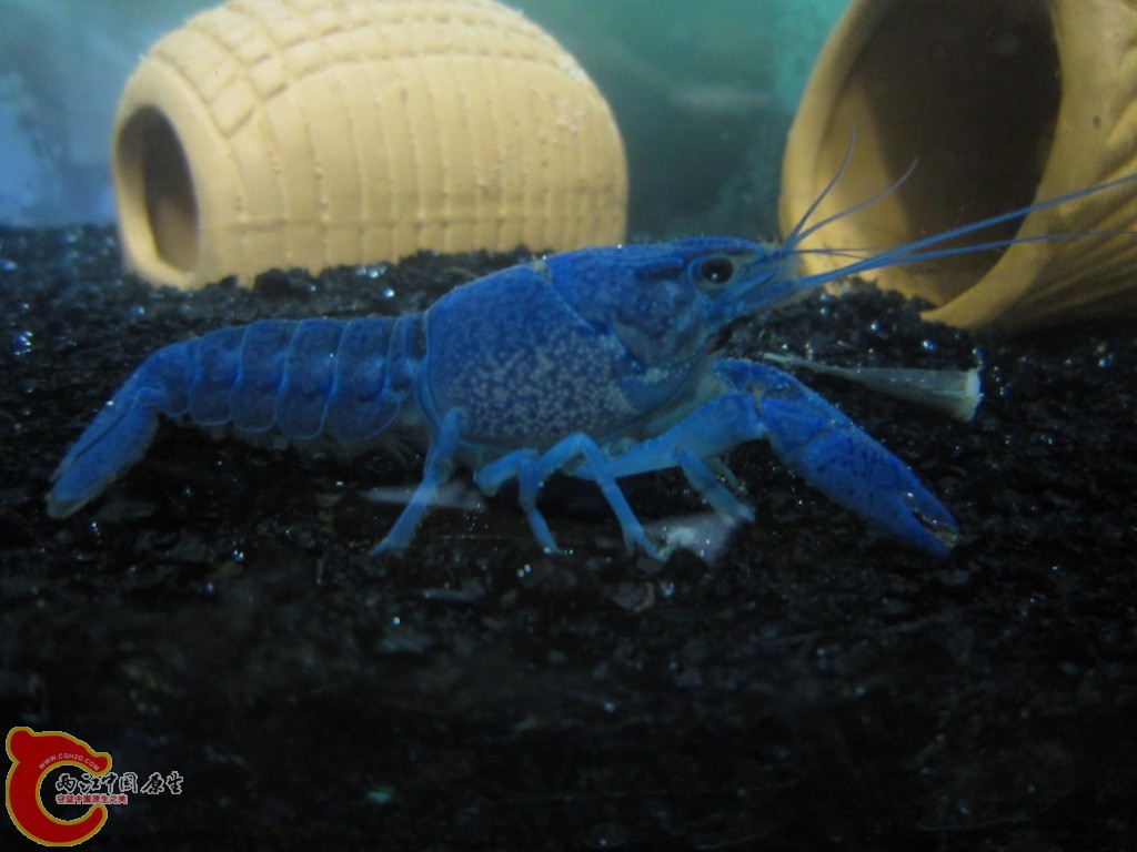 IMG_1455.JPG