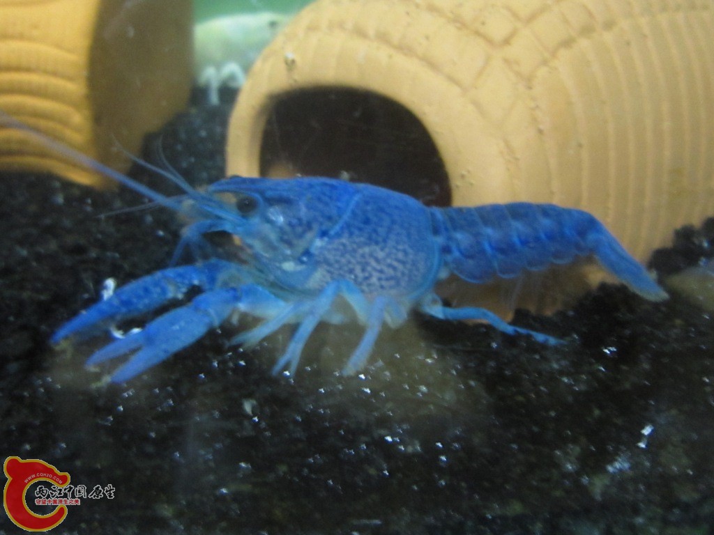 IMG_1449.JPG