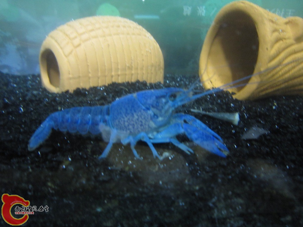 IMG_1454.JPG