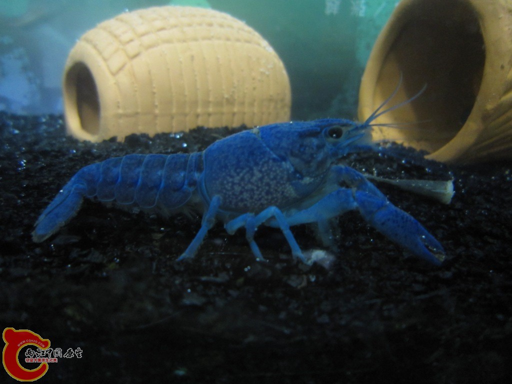IMG_1456.JPG