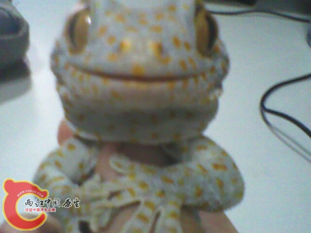 IMG0053A.jpg