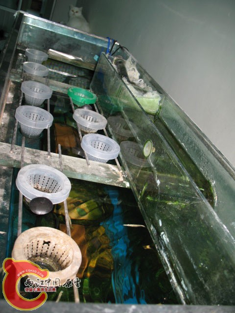 喂食盒（主要为水针准备的）