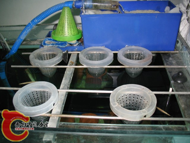 喂食盒（主要为水针准备的）