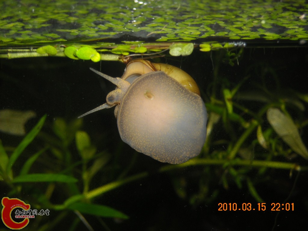 DSCN6490.JPG