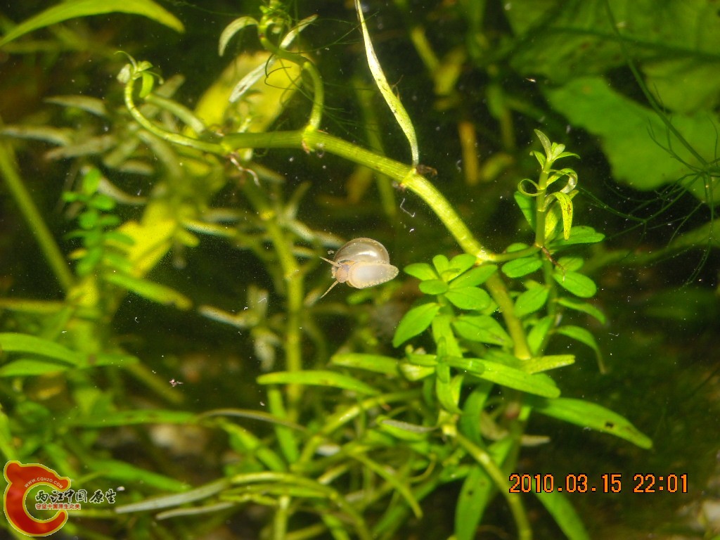 DSCN6489.JPG