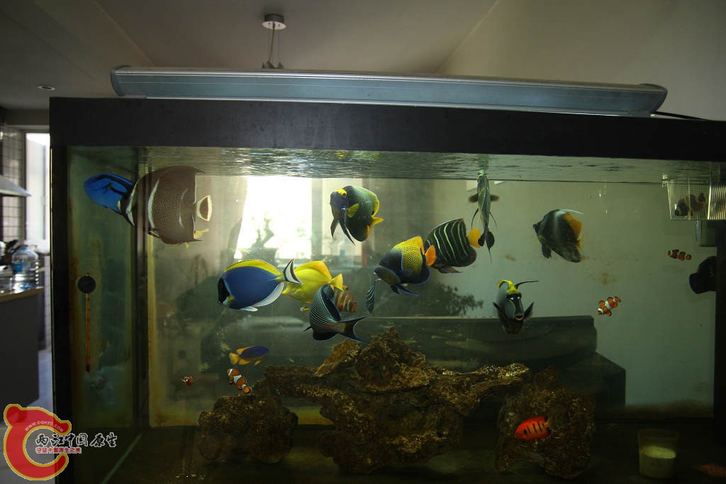 0909061154fe76ee0b30b5ad6c.jpg