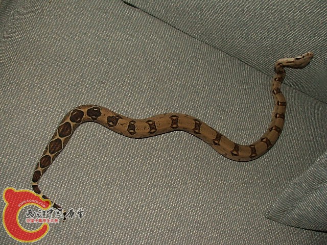 20080301_99ac4f659ffe0caa87c4YTsHKyF1Tlk8.jpg