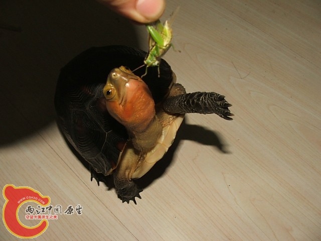 20080301_bb3dfa8d3aeb9ff79229UuMmHTxPYSY3.jpg