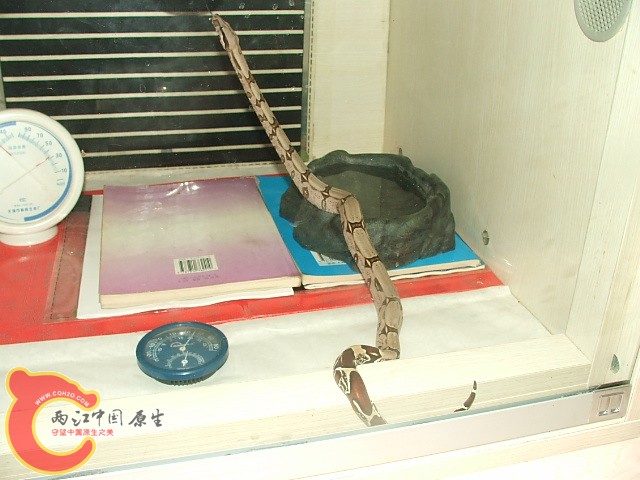20080302_5171a13bf0c4a3c190e6JrT9EteoM7Ua.jpg