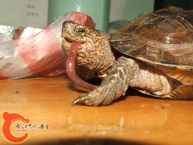 20080302_7472fe23ca25540f2892AU5dQjFEeHHW.jpg