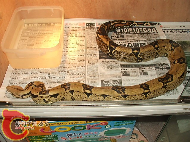 20080302_ad801e1f72cd5cf8e4adb88HK8e2SCrG.jpg