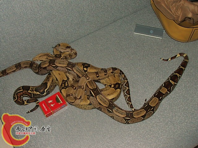20080302_aa0ec7c77556d86a61e2IuhRYotAqZvT.jpg