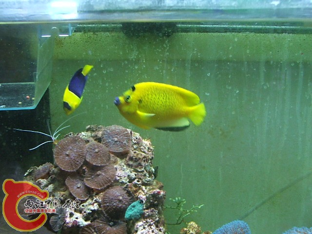 20080523_a4d8120cbba8ba47d8ddDzXgmNbzLijl.jpg