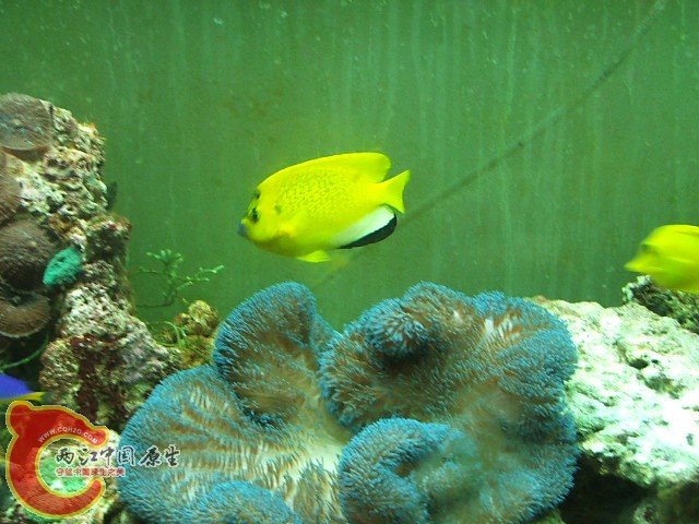 20080523_500eba1acbdfd6db6c3bNinkUGMvYN8B.jpg