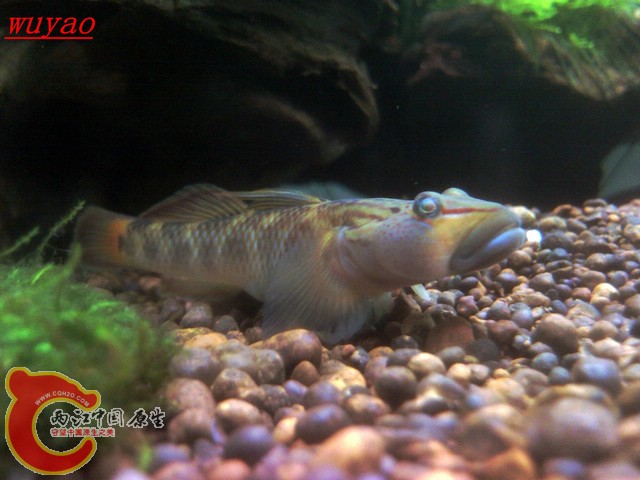 SNC00842_副本.jpg