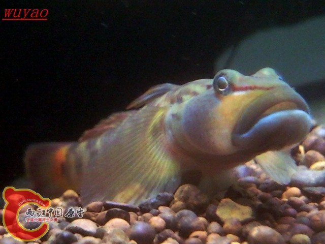 SNC00844.jpg