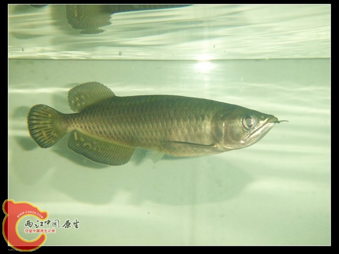 DSCF1158.jpg
